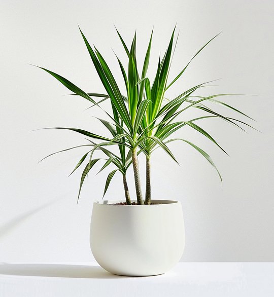 product 05